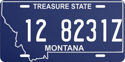 MT license plate 128231Z