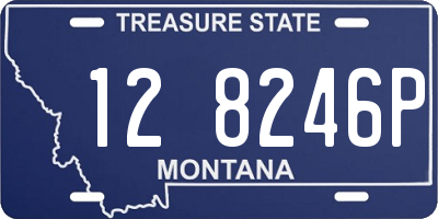 MT license plate 128246P