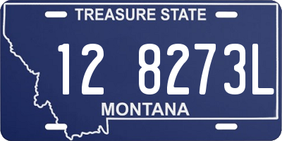 MT license plate 128273L