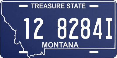 MT license plate 128284I