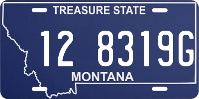 MT license plate 128319G