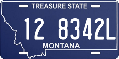 MT license plate 128342L
