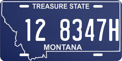 MT license plate 128347H