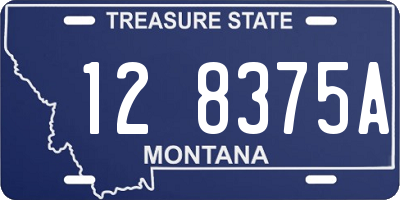 MT license plate 128375A