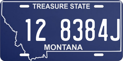 MT license plate 128384J