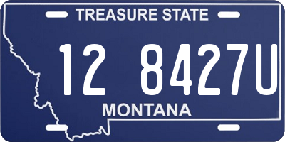 MT license plate 128427U