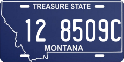 MT license plate 128509C