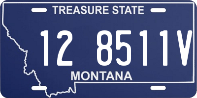 MT license plate 128511V