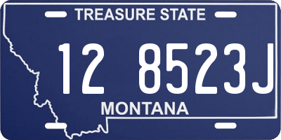 MT license plate 128523J