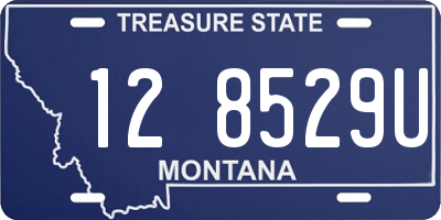 MT license plate 128529U