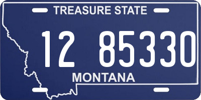 MT license plate 128533O