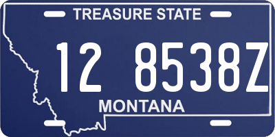 MT license plate 128538Z