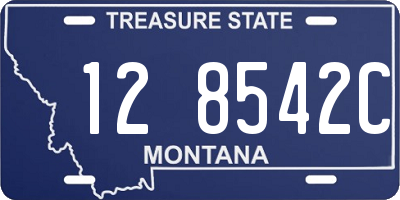 MT license plate 128542C