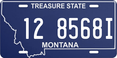 MT license plate 128568I