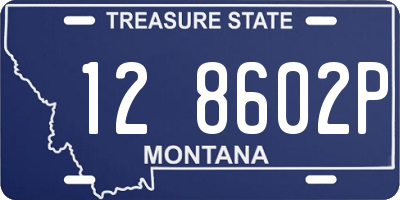 MT license plate 128602P