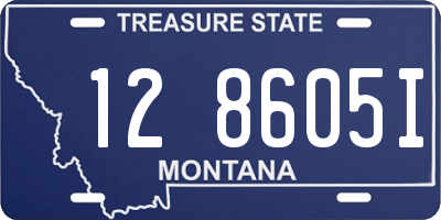 MT license plate 128605I