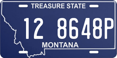 MT license plate 128648P