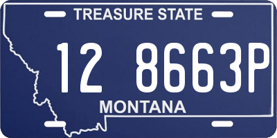MT license plate 128663P