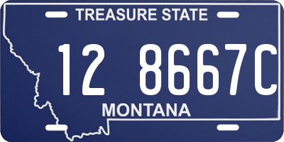 MT license plate 128667C
