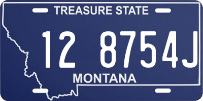 MT license plate 128754J