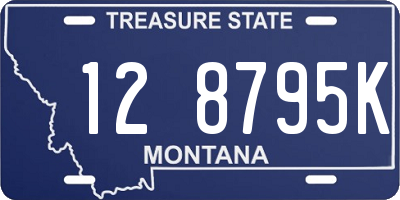MT license plate 128795K