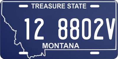 MT license plate 128802V
