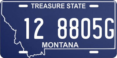 MT license plate 128805G