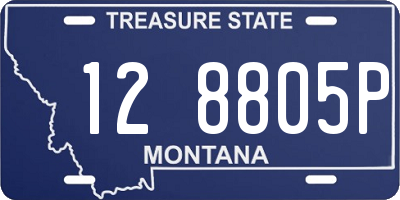 MT license plate 128805P