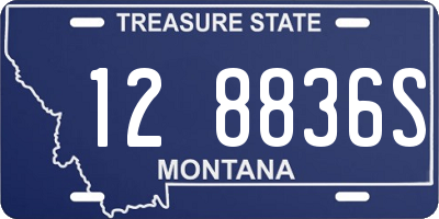 MT license plate 128836S