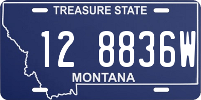 MT license plate 128836W