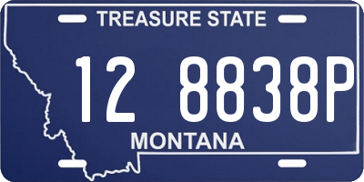MT license plate 128838P