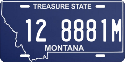MT license plate 128881M