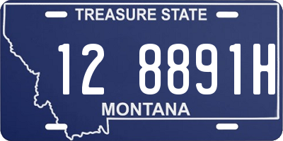 MT license plate 128891H