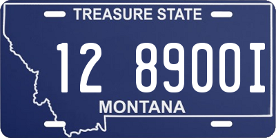 MT license plate 128900I