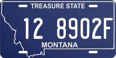 MT license plate 128902F