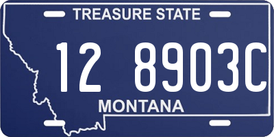 MT license plate 128903C