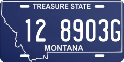 MT license plate 128903G
