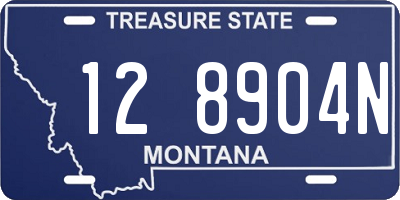 MT license plate 128904N