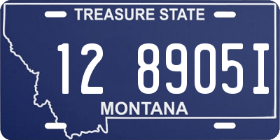 MT license plate 128905I