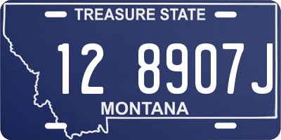 MT license plate 128907J