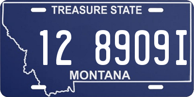 MT license plate 128909I