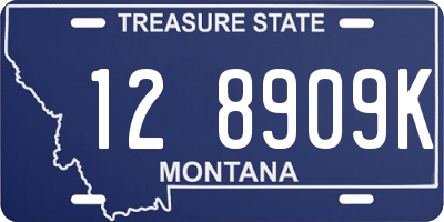 MT license plate 128909K