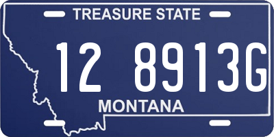 MT license plate 128913G