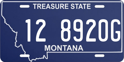 MT license plate 128920G