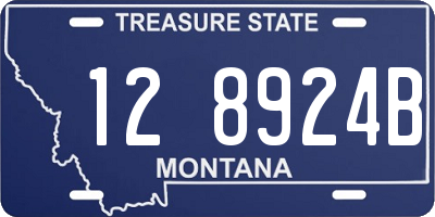 MT license plate 128924B