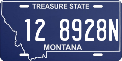 MT license plate 128928N