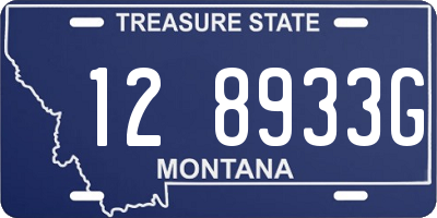 MT license plate 128933G