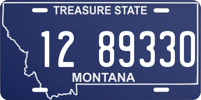 MT license plate 128933O