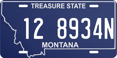 MT license plate 128934N
