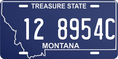MT license plate 128954C